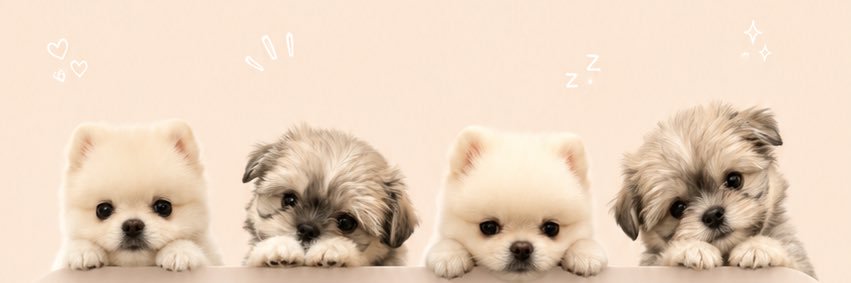 おもちちゃん's banner