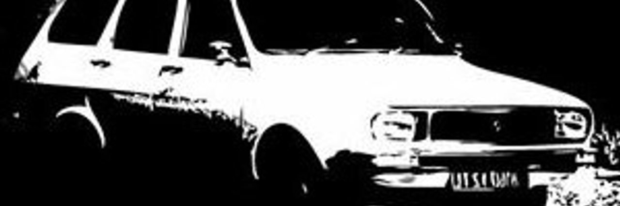 Türkçü ‎ 𐰀𐰢's banner
