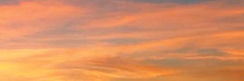 Gemma's banner