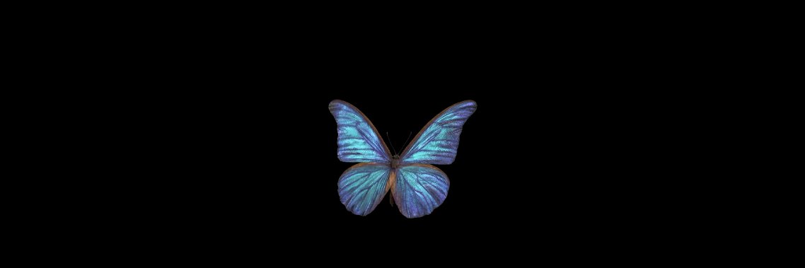 ִֶָ's banner