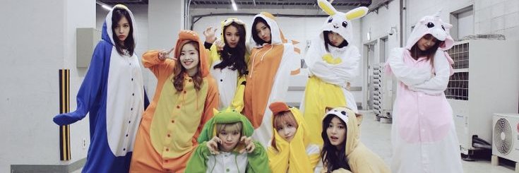 🐻‍❄️'s banner
