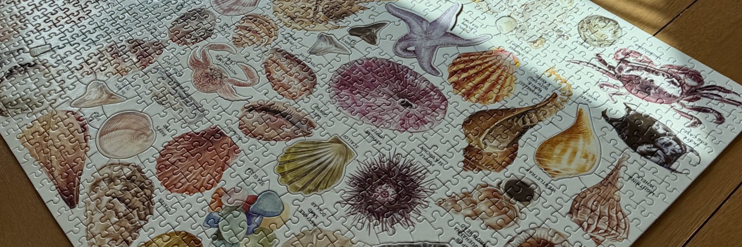 SpectrumBro's banner