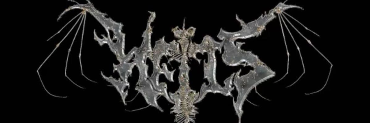 HEIS🦇's banner