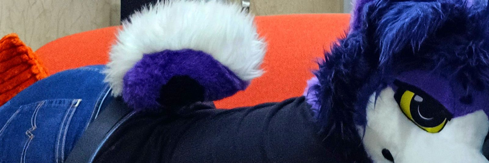 Sir Bernán Doggo✨️'s banner