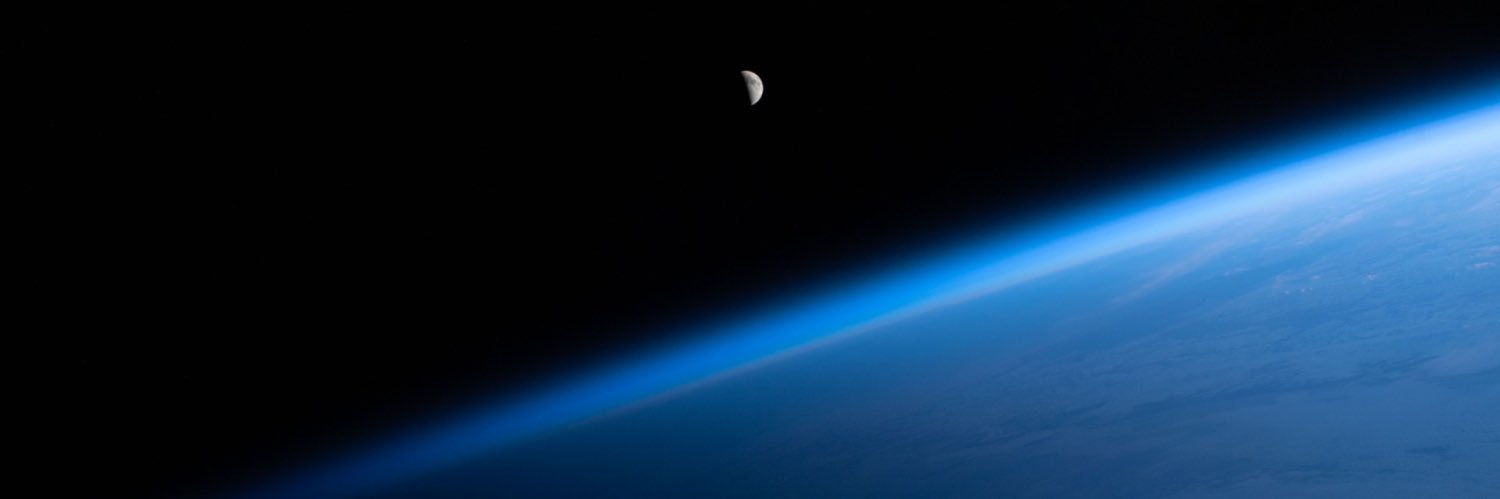Lunar Citizens's banner