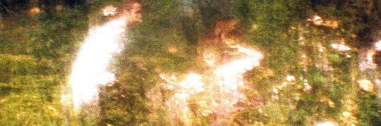 ɹol ☆'s banner