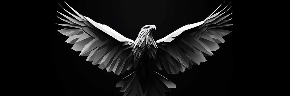 Tarek Naemo's banner