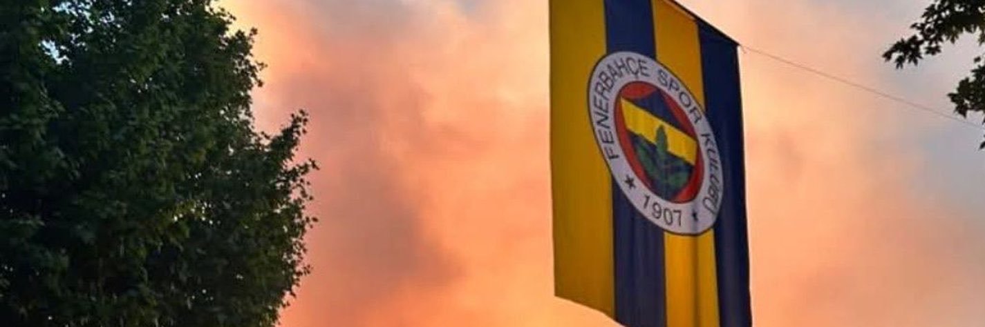 Fenerial's banner