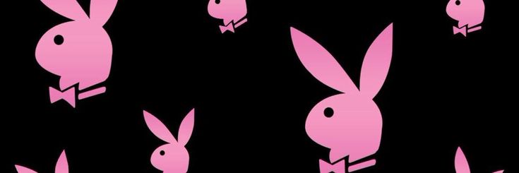 Lia Julieta's banner