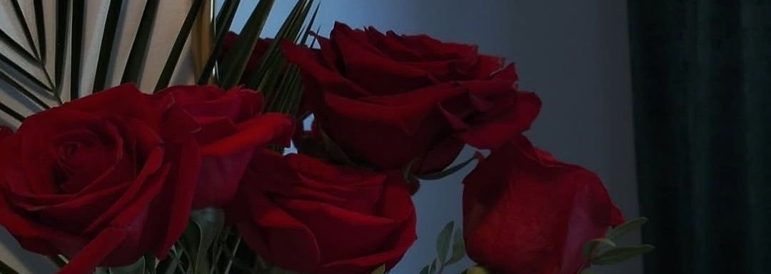 ✧.* хιмєηα ✧.*'s banner