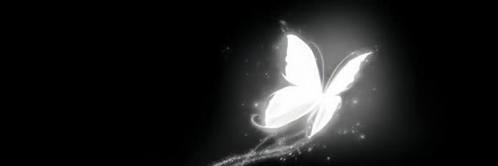 oyyy's banner
