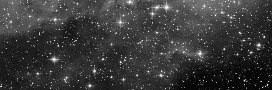 jenfoxxx's banner