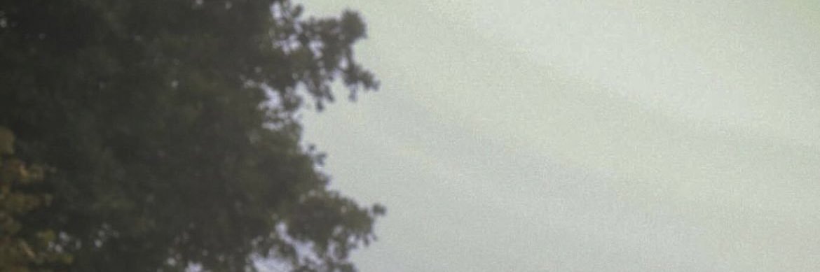 TҤỤƦẠ¥Ạ♡'s banner
