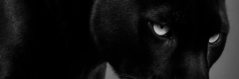 vixen | link in bio 😛's banner