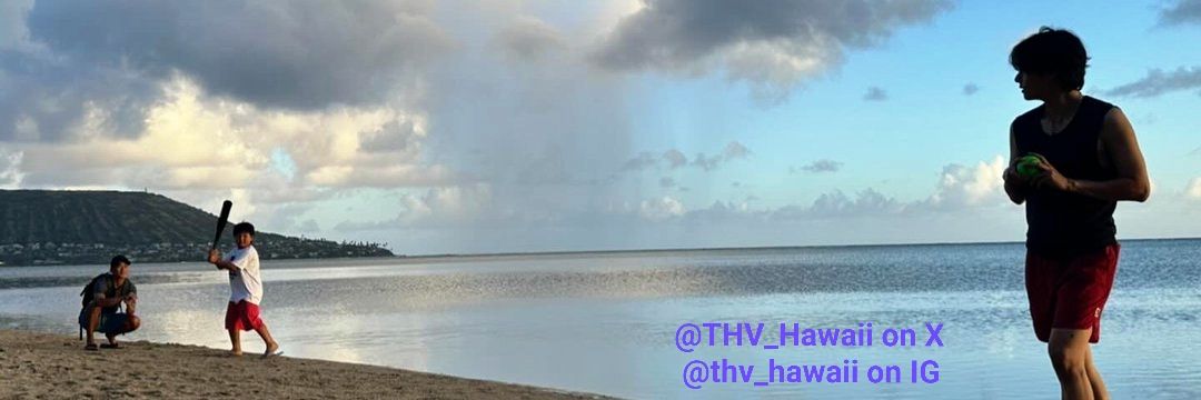 THV Hawaii's banner
