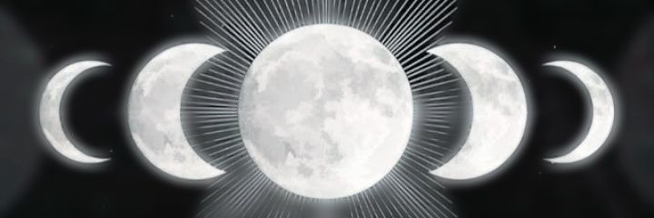 Camilla Lima 🌜🌝🌛's banner
