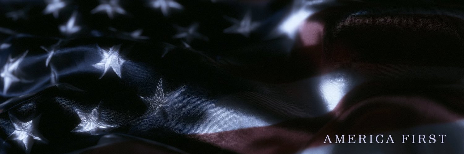 Cocaine Groyper ❄️'s banner