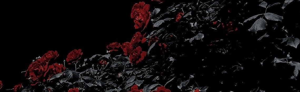 AL ☽☾ I LOVE RYAN's banner