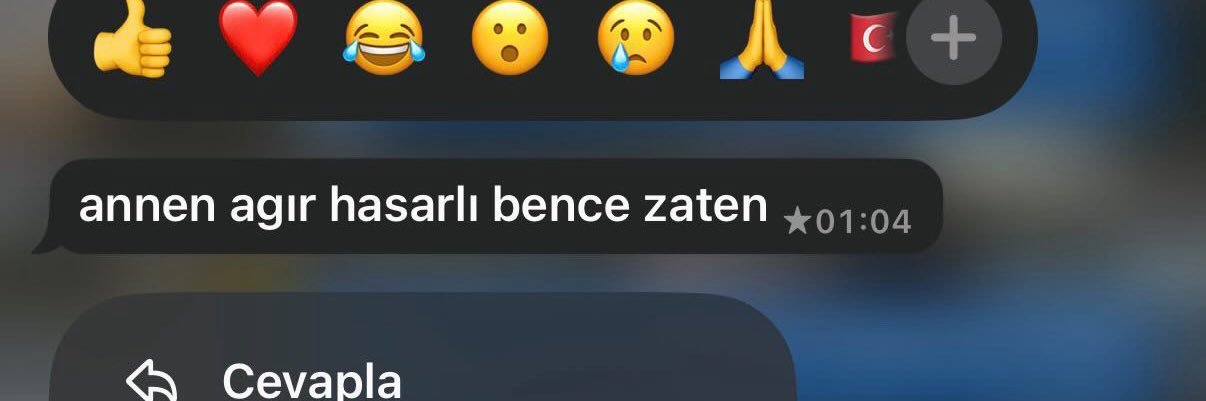 annen's banner