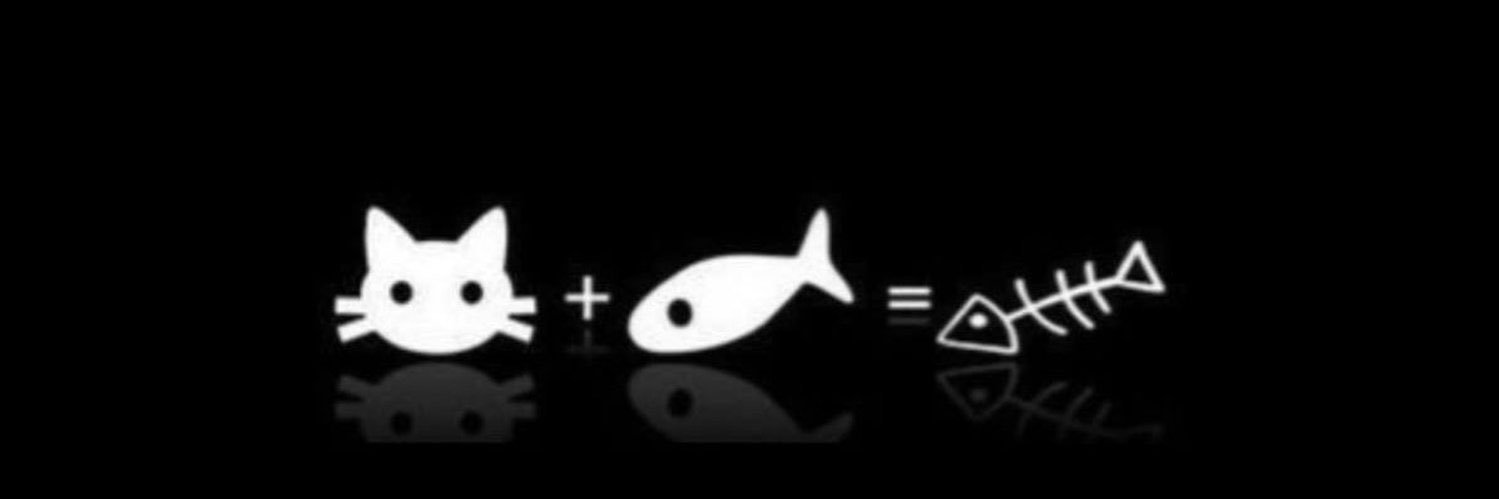 𓇼 cie ˚｡⋆ 🦈's banner
