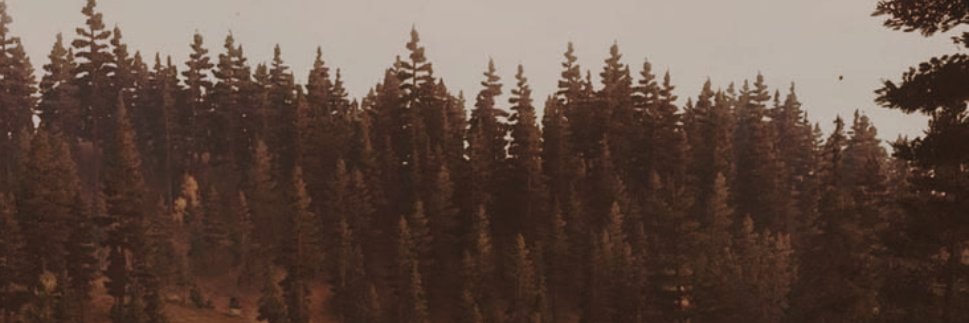 EVOKETAS's banner