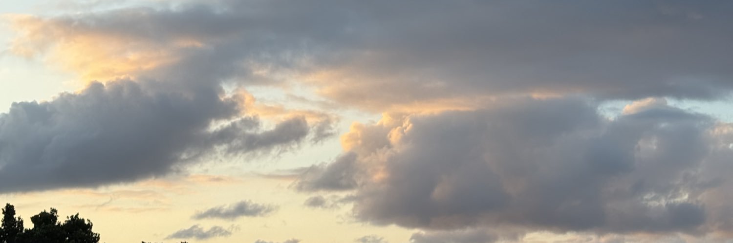 bbam_s's banner