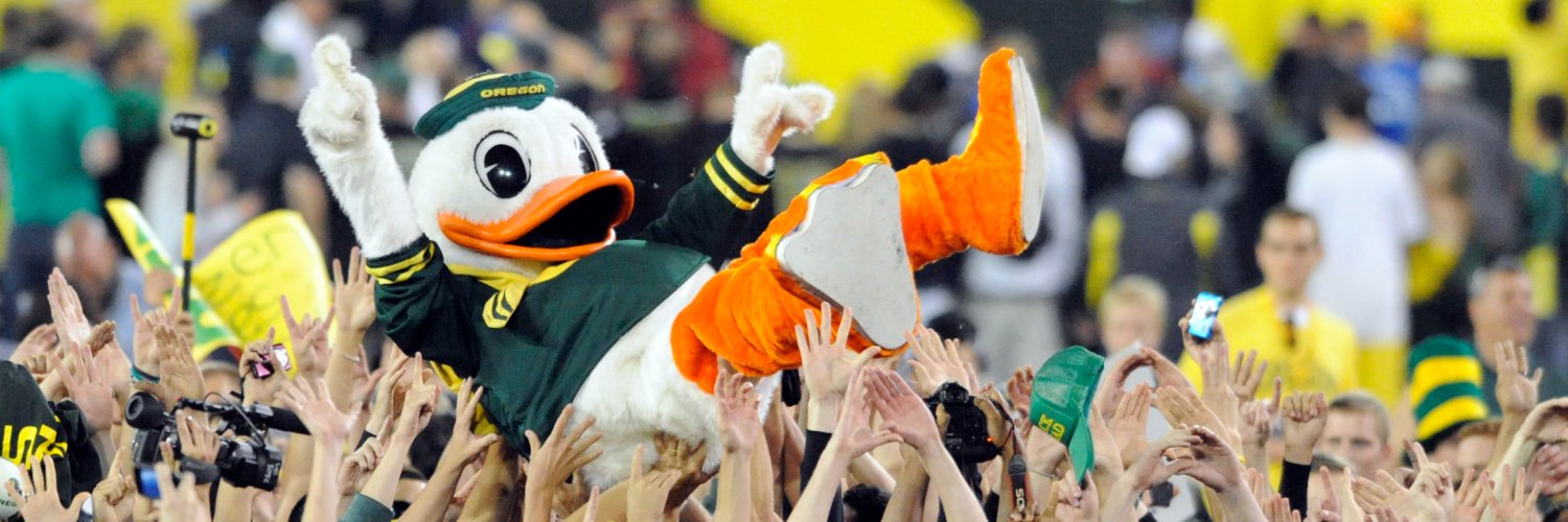 The Duck's banner