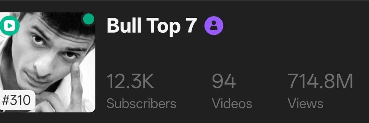 BULLTOP7's banner