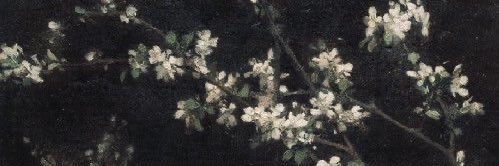 Ellie closed's banner