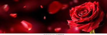 Simran's banner