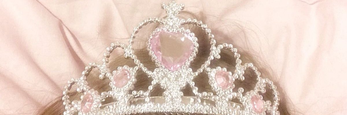 ‎⋆˚౨ৎ ⋆.˚ princess ally ⚢'s banner