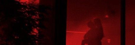 Rex Nihilo🔞's banner