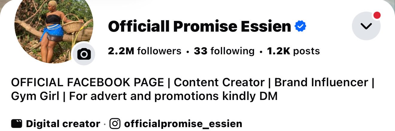 Promise Essien's banner