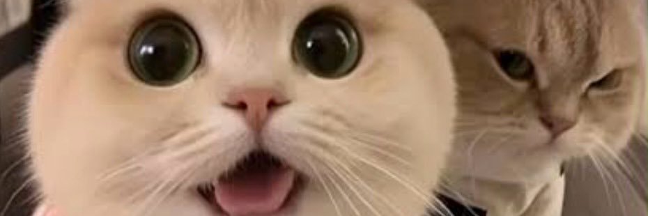 ลูกหมู3🐽's banner