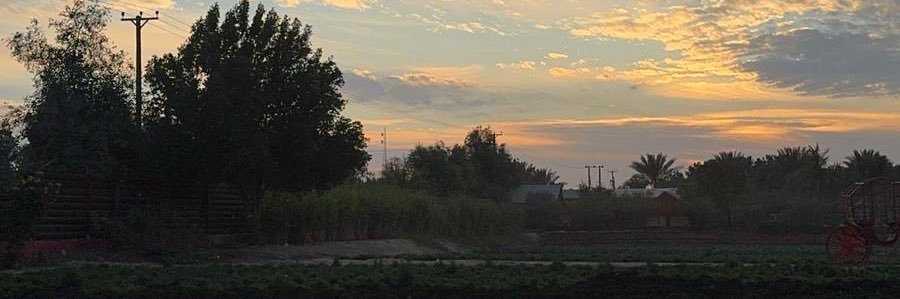 سالب 19 الكويت 🇰🇼's banner