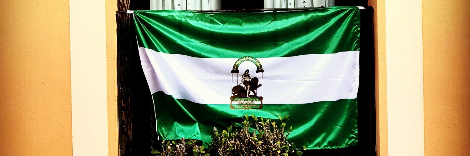 Sergio Toro Gonzalez's banner