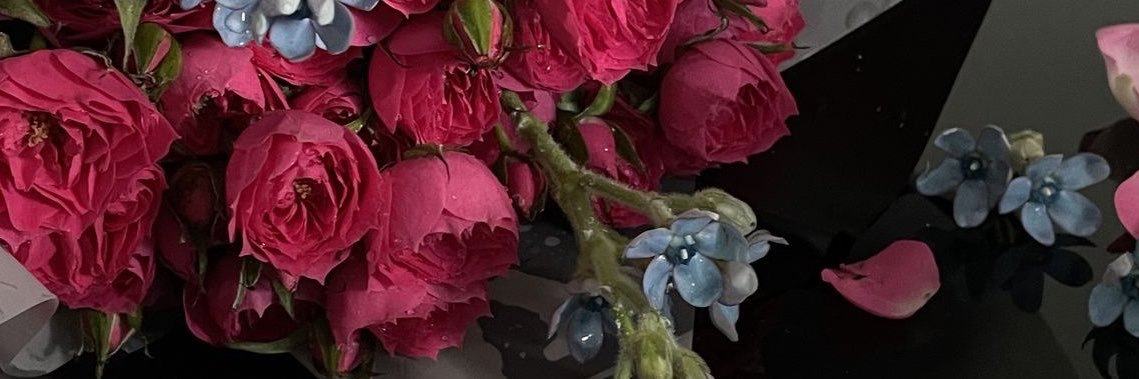 Pé Mèo's banner