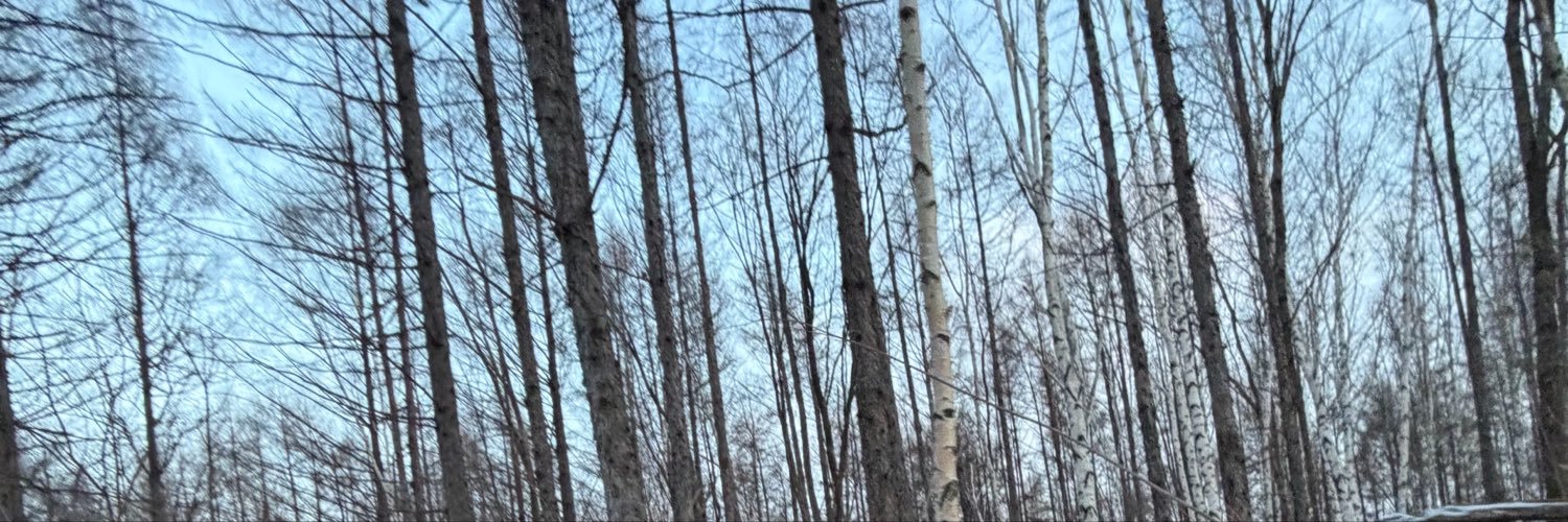 jenny's banner