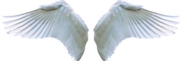 َ's banner