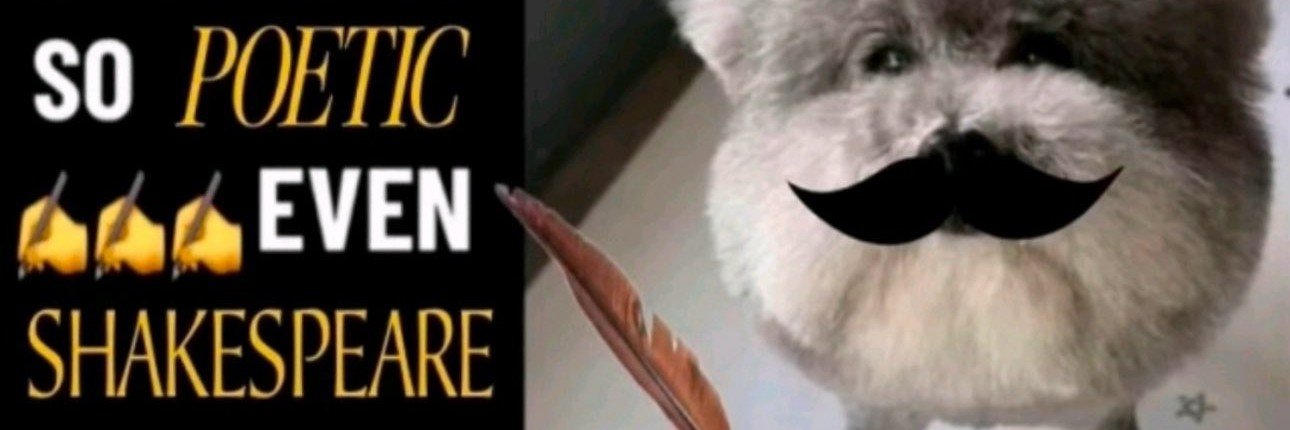 Toy Big Bork's banner