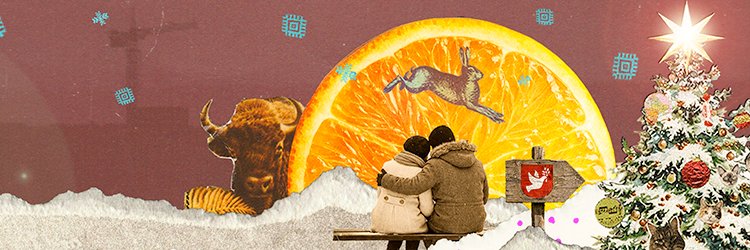 Зеркало | Новости's banner