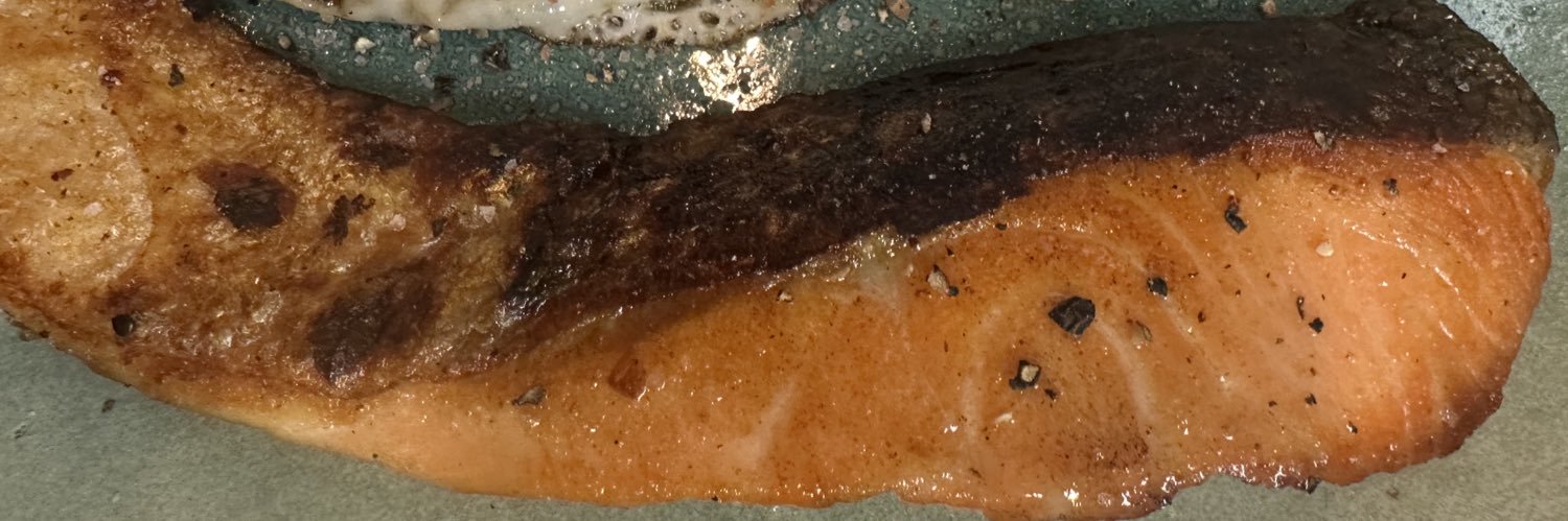 しゃけ's banner