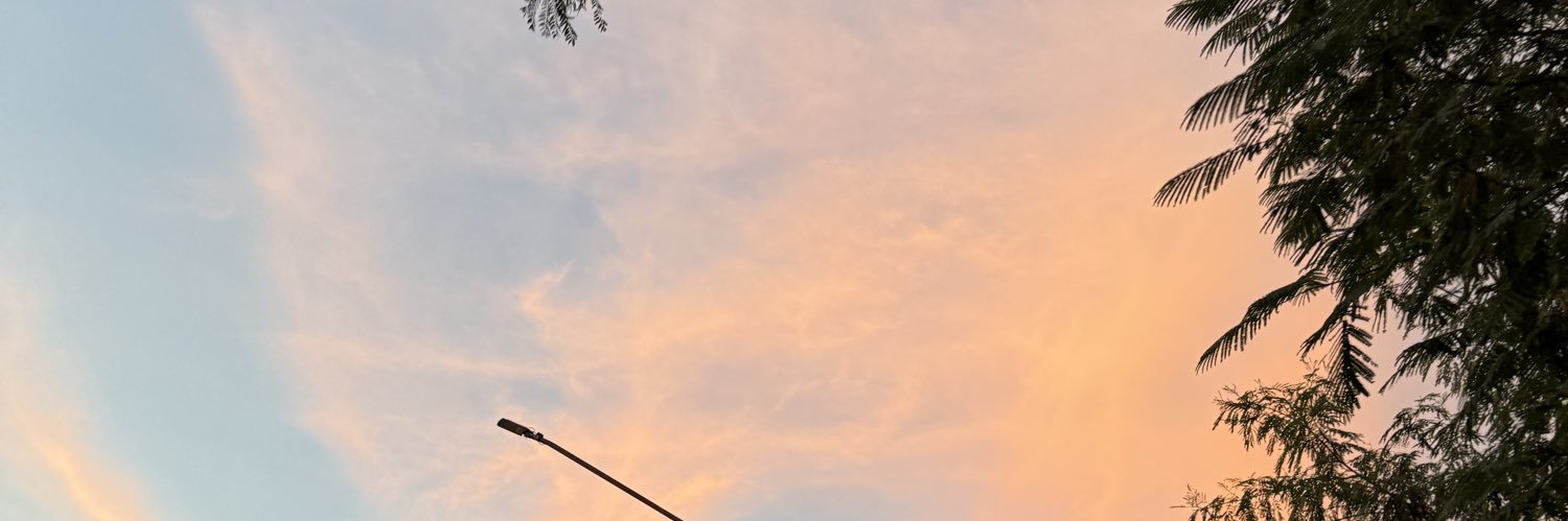 A.'s banner