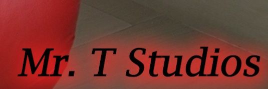 Mr T Studios's banner