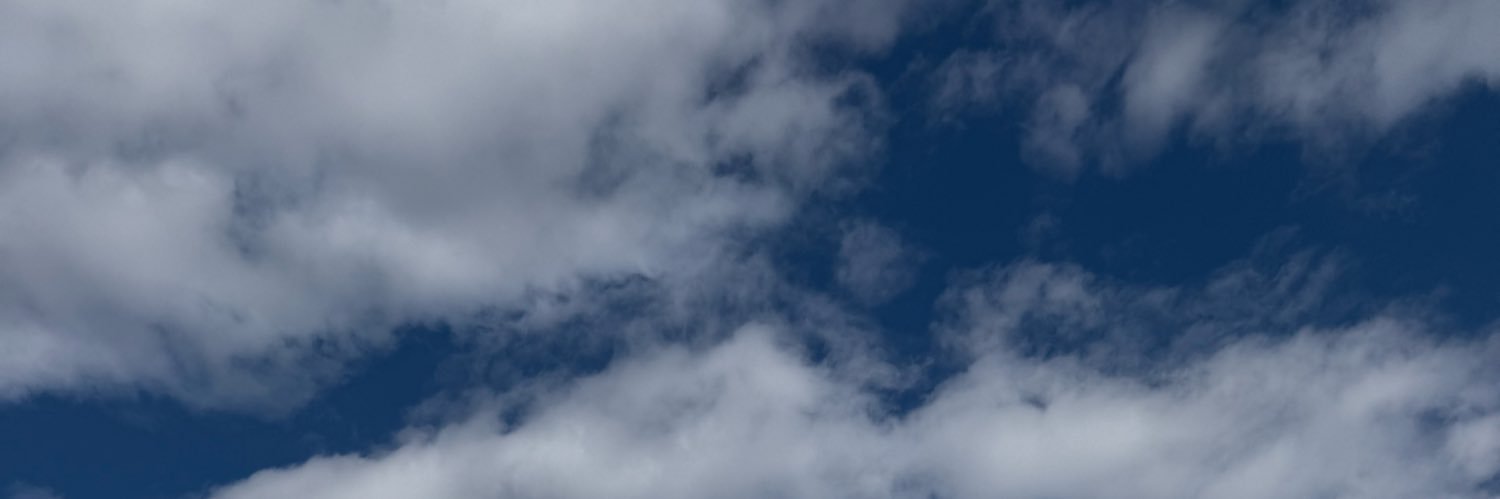 miniginiz pelin 😽's banner