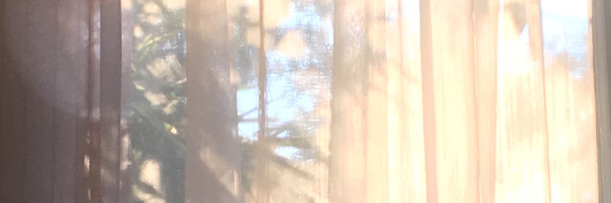 pj💫's banner