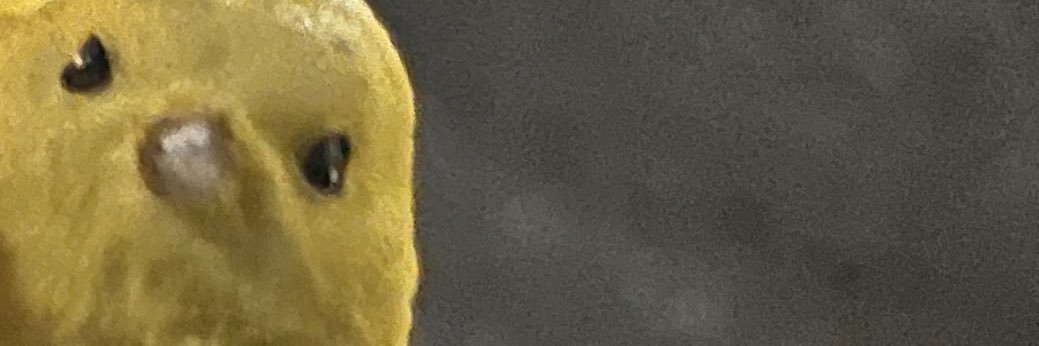 替玉's banner