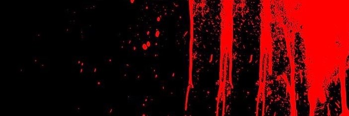 D5 👾's banner