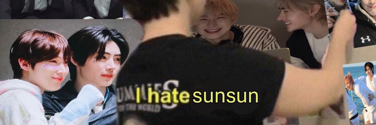 acervo sunsun's banner
