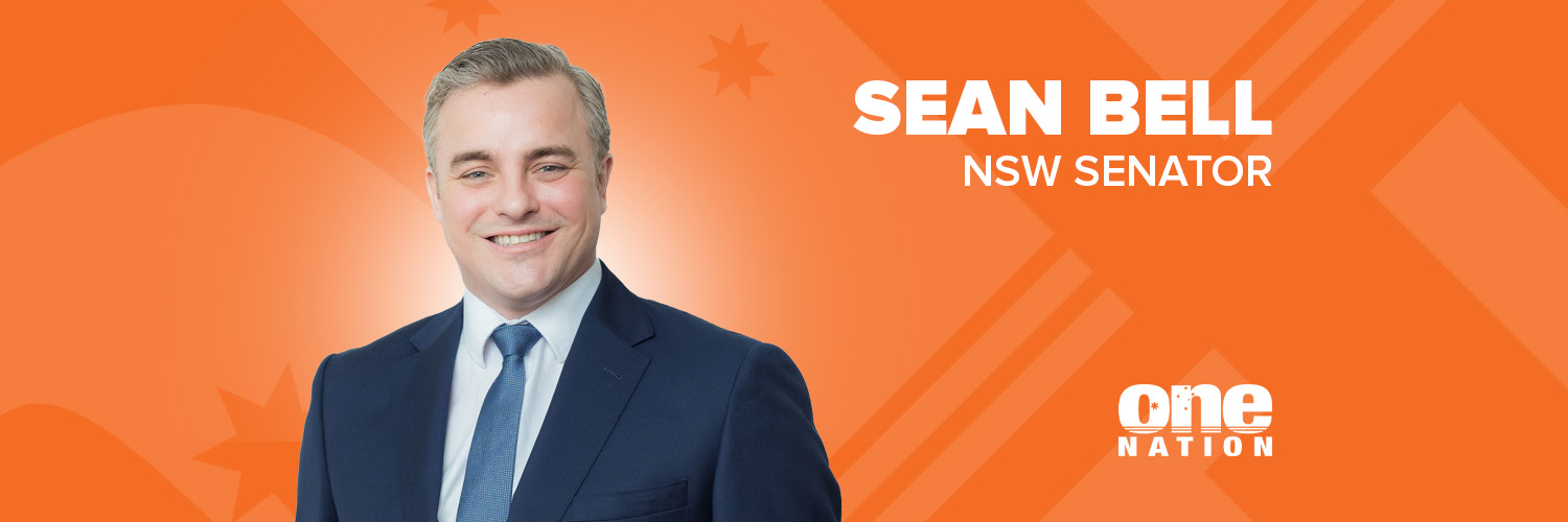 Senator Sean Bell's banner